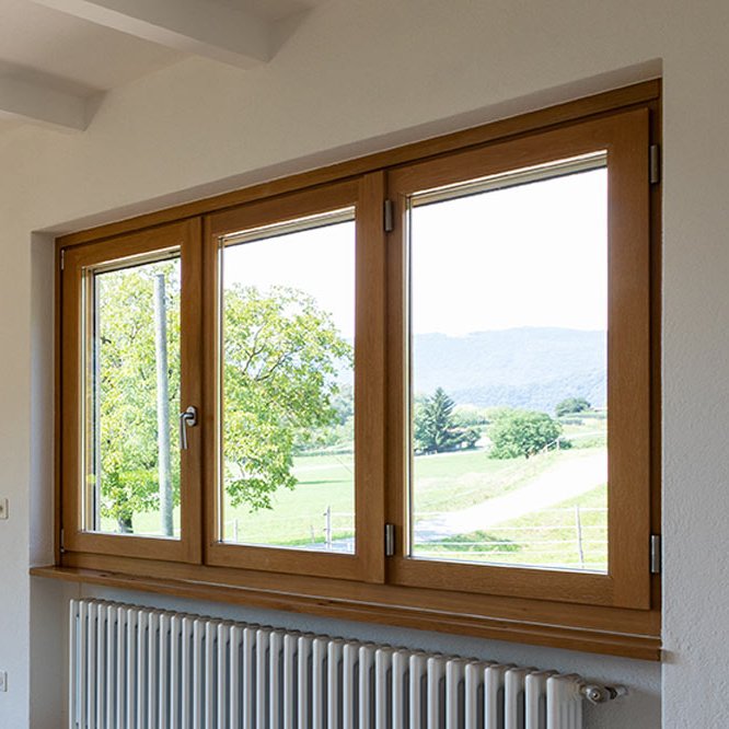 Fenster Salzgitter